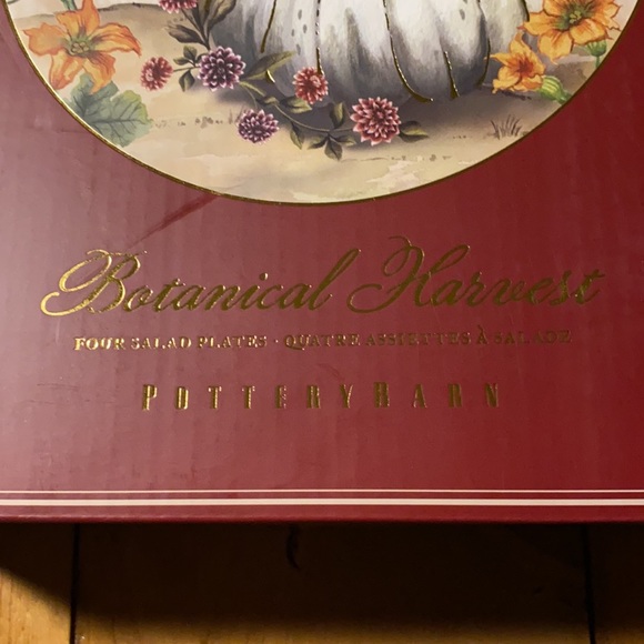 Pottery Barn Botanical Harvest Pumpkin Stoneware Set of Four Salad plates - Picture 10 of 16
